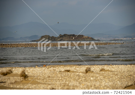 Plover, Yubudo, Chungnam Plover, Yubudo, Chungnam 72421504