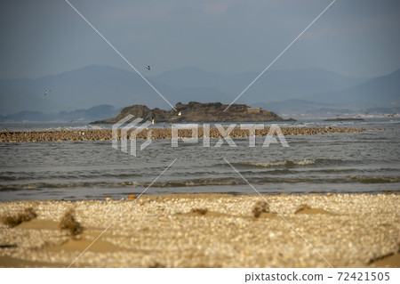 Plover, Yubudo, Chungnam Plover, Yubudo, Chungnam 72421505