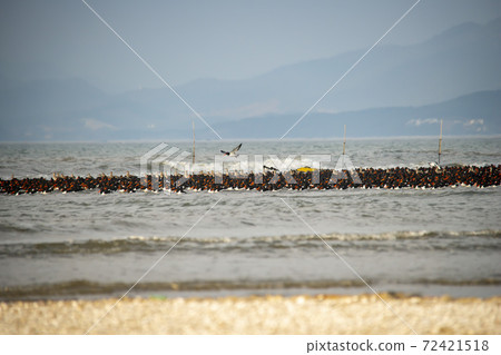 Plover, Yubudo, Chungnam 72421518