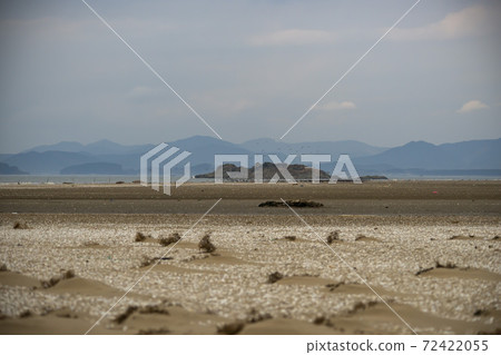 Plover, Yubudo, Chungnam 72422055