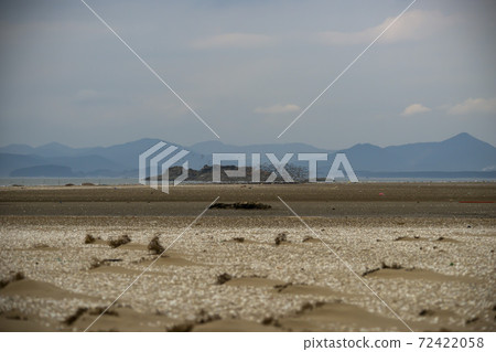 Plover, Yubudo, Chungnam 72422058