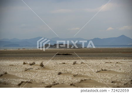 Plover, Yubudo, Chungnam 72422059