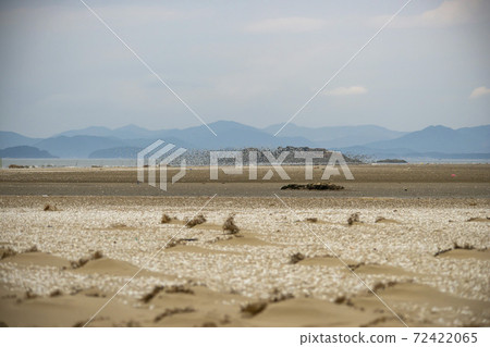 Plover, Yubudo, Chungnam 72422065