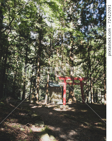 鳥居在山路上 鳥居在山路上 72422091