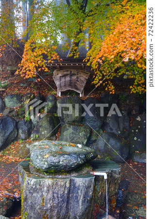 神奈川縣波多野明水Ku野之泉 神奈川縣波多野明水Ku野之泉 72422236