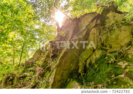 Granite rocks in the Bodetal valley with a bright canopy Granite rocks in the Bodetal valley with a bright canopy 72422783