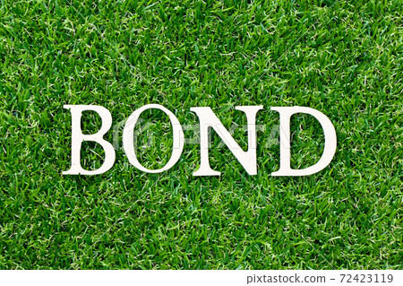 Wood letter in word bond on green grass background 72423119