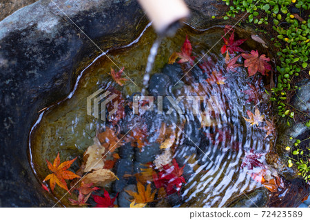 Shishi-odoshi and autumn leaves 72423589