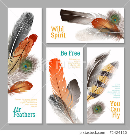 Feathers Banners Set 72424110