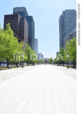 Tokyo Station and Ginkgo trees as seen from Gyoko-dori Tokyo Station and Ginkgo trees as seen from Gyoko-dori 72424193