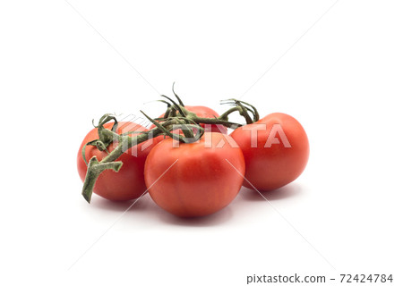 Closeup of fresh tomatoes on branch on white background Closeup of fresh tomatoes on branch on white background 72424784