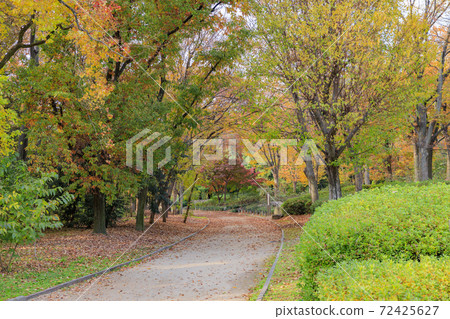 Nagai Botanical Garden Autumn leaves and autumn flowers 72425627