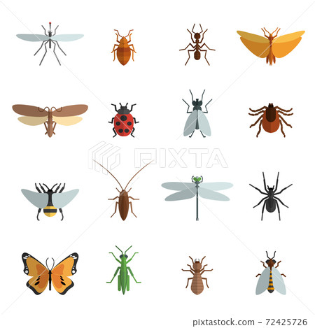 Insect Icon Flat Insect Icon Flat 72425726