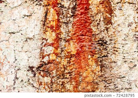 Texture of a concrete wall with cracks and scratches which can be used as a background Texture of a concrete wall with cracks and scratches which can be used as a background 72428795