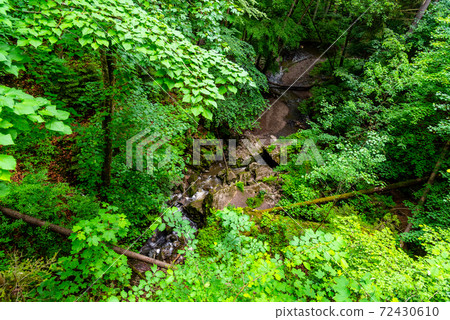 Forest karst sinkhole 72430610