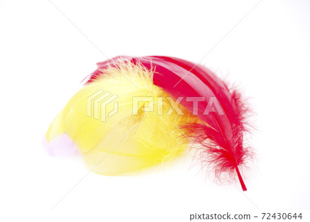 Red feather and yellow feather bird feather social welfare community chest traffic safety image material 72430644