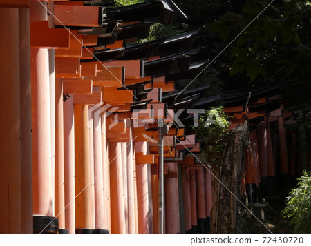 Endless rows of torii gates Endless rows of torii gates 72430720