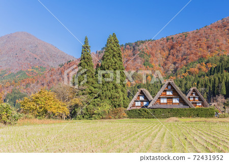 [世界遺產]岐阜縣白川鄉的合掌祖里村（秋天圖片） 72431952