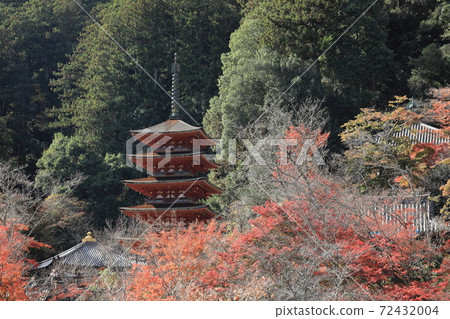 Five-storied pagoda of Hasedera, Nara Five-storied pagoda of Hasedera, Nara 72432004