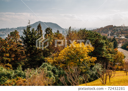 Autumn scenery of Jungang Park (Daecheong Park) in Busan, Korea 72432281