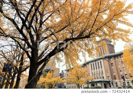 神奈川縣廳深秋 72432414