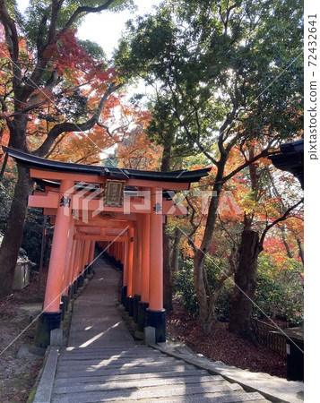 秋季鳥居 秋季鳥居 72432641