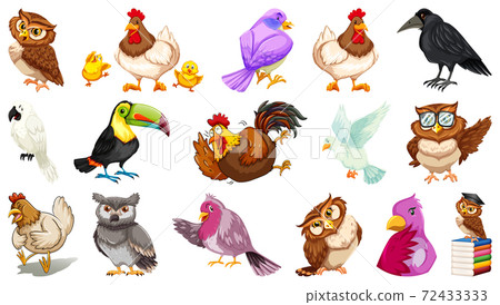 Set of different birds cartoon style isolated on white background Set of different birds cartoon style isolated on white background 72433333