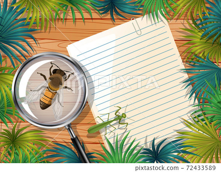 Top view of blank paper on table with leaves and insects elements 72433589