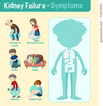 Kidney Failure Symptoms Information Infographic 72433691