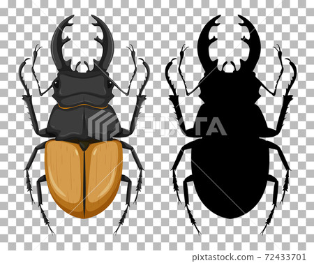 Odontolabis elegans with its silhouette isolated on transparent background Odontolabis elegans with its silhouette isolated on transparent background 72433701