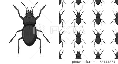 Carabidae isolated on white background and Carabidae seamless Carabidae isolated on white background and Carabidae seamless 72433873