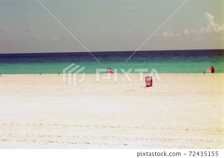The lush Miami sea 72435155