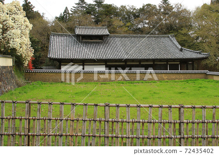 東大寺附近的櫻奈良公園 72435402