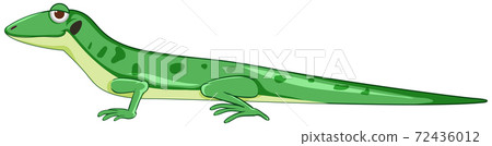 Gecko or lizard in green cartoon style isolated Gecko or lizard in green cartoon style isolated 72436012