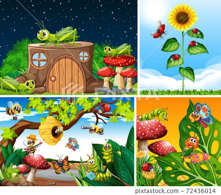 Set of different insects living in the garden 72436014