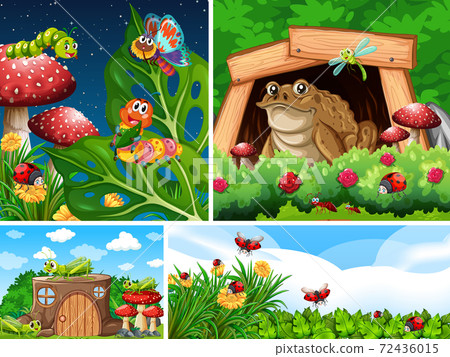 Set of different insects living in the garden Set of different insects living in the garden 72436015