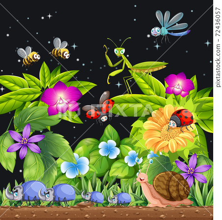 Different insects living in the garden scene at Different insects living in the garden scene at 72436057