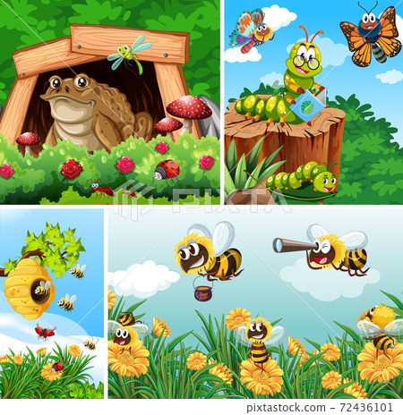 Set of different insects living in the garden 72436101