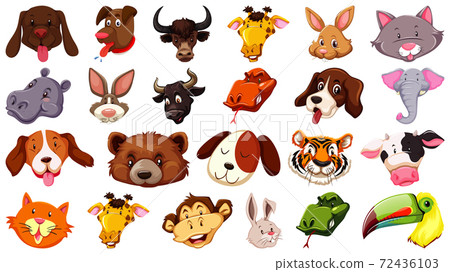 Set of different cute cartoon animals head huge Set of different cute cartoon animals head huge 72436103