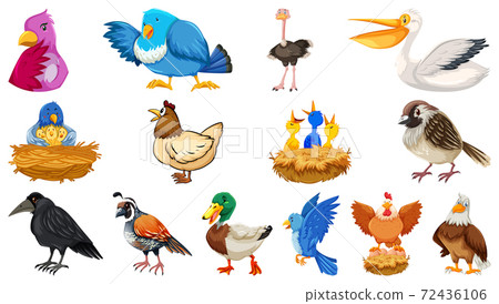 Set of different birds cartoon style isolated on Set of different birds cartoon style isolated on 72436106