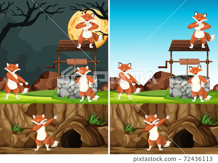 Wild foxes group in many poses in animal park 72436113