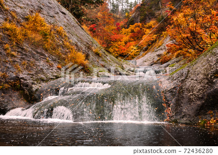 Go back to Todozawa in Nishiki Embroidery 72436280