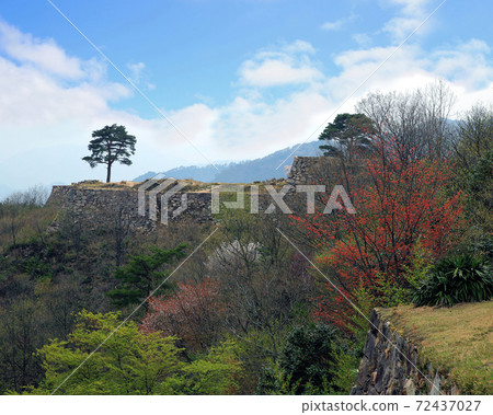 Sakura Takeda Castle Sakura Takeda Castle 72437027