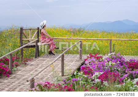 Beautiful woman in nature flower. Beautiful woman in nature flower. 72438788