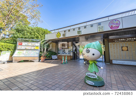 福岡縣福岡市福岡市植物園 福岡縣福岡市福岡市植物園 72438863