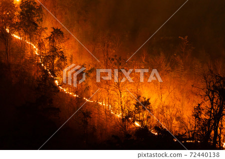 Forest fire, Wildfire. Forest fire, Wildfire. 72440138