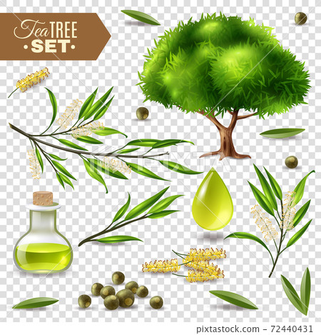 Tea Tree Set Tea Tree Set 72440431
