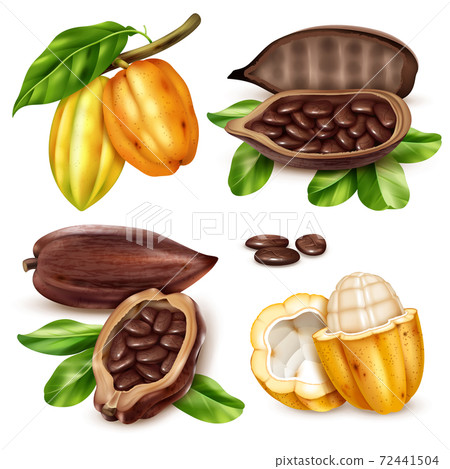 Realistic Cocoa Icon Set 72441504