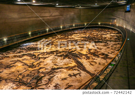 仙台市富澤博物館地下展覽室（仙台市太博區） 72442142