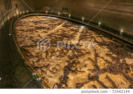 地下森林博物館（仙台市大白區） 72442144